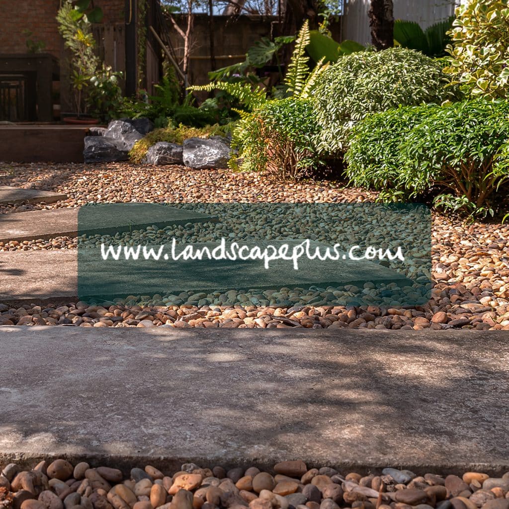 Landscapeplus Case Study